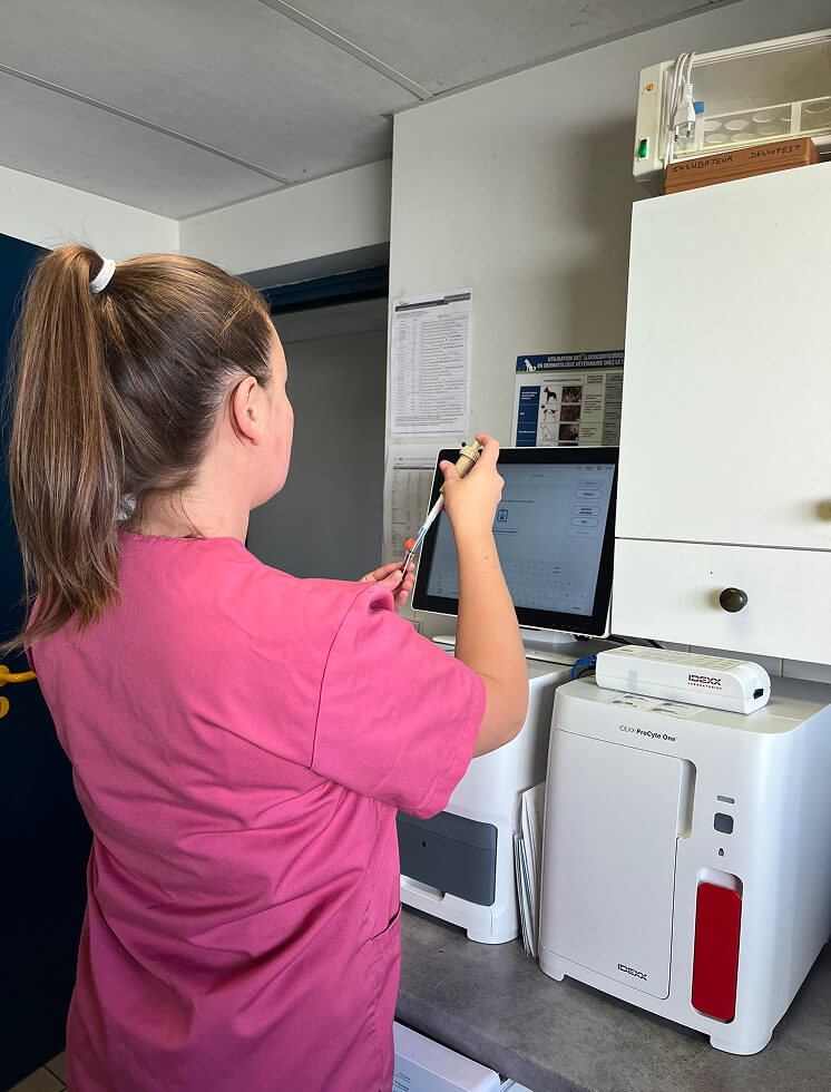 PH-Services-1 Analyse vétérinaire à Plouigneau et Huelgoat