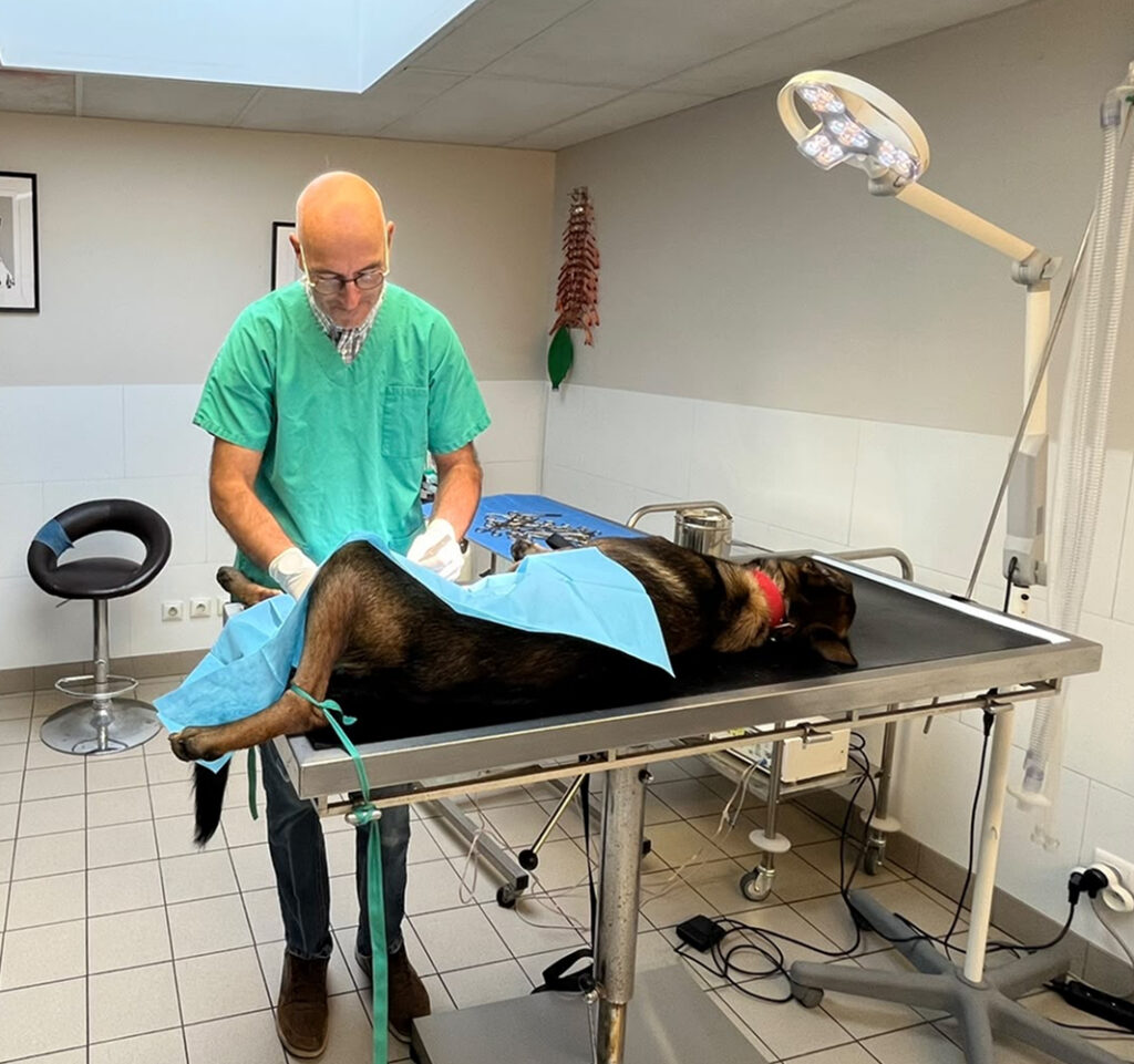 Bienvenue Bienvenue à la clinique vétérinaire de Plouigneau et au cabinet vétérinaire de Huelgoat.